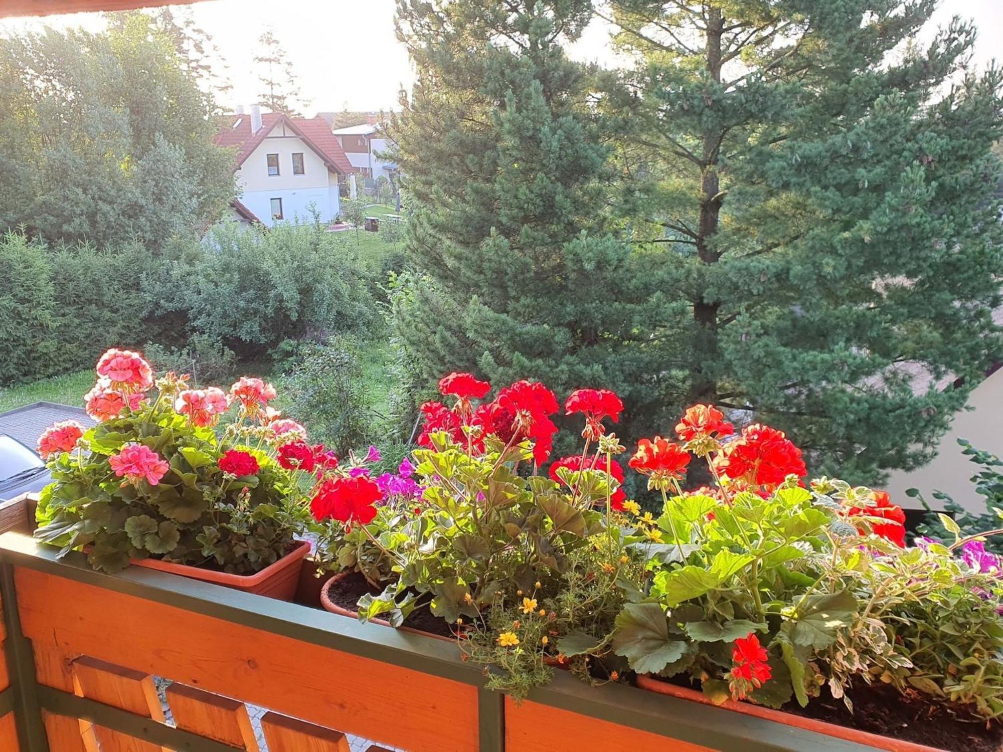 Chalet Chata Tereza Villa Stará Lesná Esterno foto